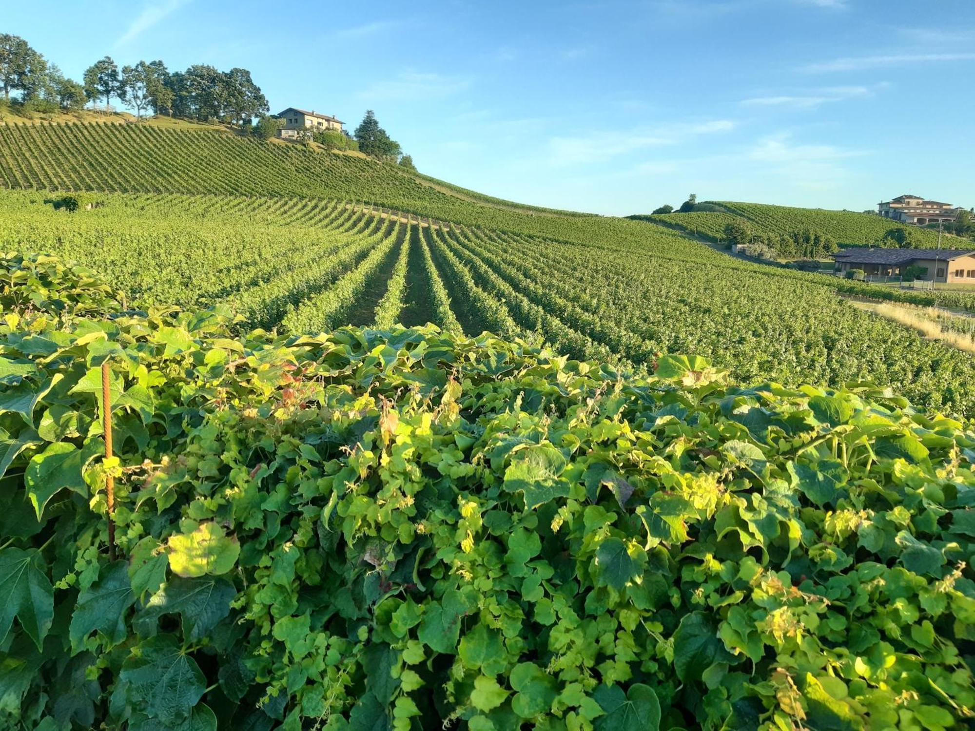 Appartamento Franciacorta Cazzago San Martino Exteriér fotografie